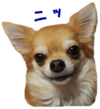 Sticker of Cereza 11 sticker #15156026