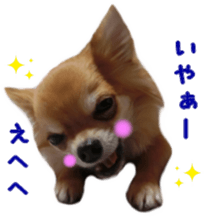 Sticker of Cereza 11 sticker #15156028