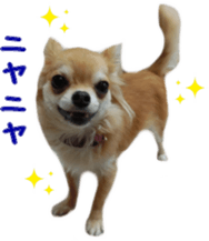 Sticker of Cereza 11 sticker #15156029