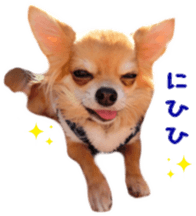 Sticker of Cereza 11 sticker #15156030