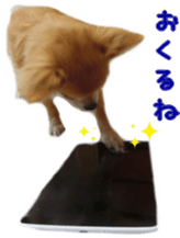 Sticker of Cereza 11 sticker #15156033