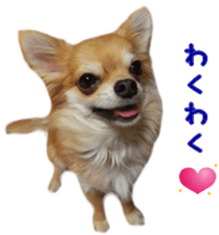 Sticker of Cereza 11 sticker #15156035