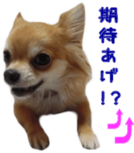 Sticker of Cereza 11 sticker #15156036