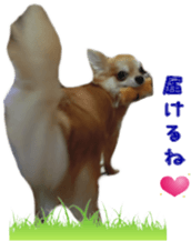 Sticker of Cereza 11 sticker #15156041