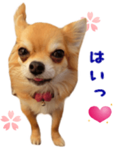 Sticker of Cereza 11 sticker #15156044