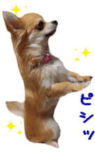 Sticker of Cereza 11 sticker #15156046