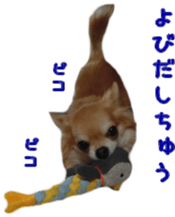 Sticker of Cereza 11 sticker #15156047