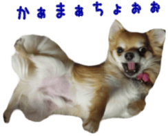 Sticker of Cereza 11 sticker #15156048