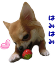 Sticker of Cereza 11 sticker #15156049