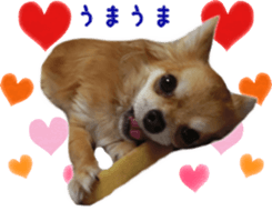 Sticker of Cereza 11 sticker #15156050