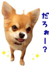 Sticker of Cereza 11 sticker #15156053