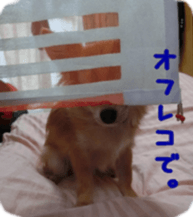 Sticker of Cereza 11 sticker #15156055