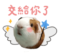Guinea pig : eat & sleep - photo vol. 2 sticker #15156100