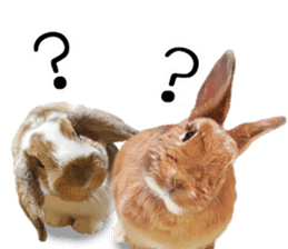 Pi-chan and Muu-chan's daily life 2 sticker #15157271