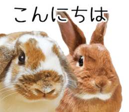 Pi-chan and Muu-chan's daily life 2 sticker #15157273