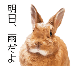 Pi-chan and Muu-chan's daily life 2 sticker #15157274