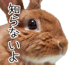 Pi-chan and Muu-chan's daily life 2 sticker #15157275