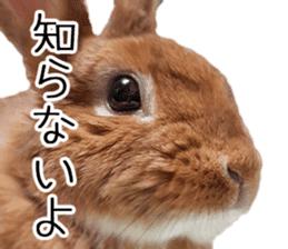 Pi-chan and Muu-chan's daily life 2 sticker #15157275