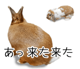 Pi-chan and Muu-chan's daily life 2 sticker #15157276