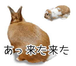 Pi-chan and Muu-chan's daily life 2 sticker #15157276