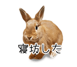 Pi-chan and Muu-chan's daily life 2 sticker #15157277