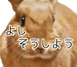 Pi-chan and Muu-chan's daily life 2 sticker #15157278