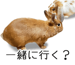 Pi-chan and Muu-chan's daily life 2 sticker #15157279