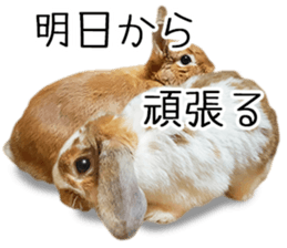 Pi-chan and Muu-chan's daily life 2 sticker #15157280