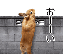 Pi-chan and Muu-chan's daily life 2 sticker #15157281