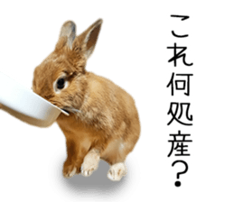 Pi-chan and Muu-chan's daily life 2 sticker #15157283