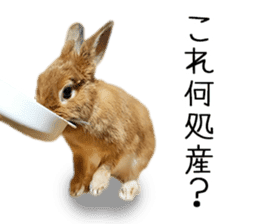 Pi-chan and Muu-chan's daily life 2 sticker #15157283