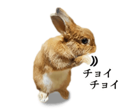 Pi-chan and Muu-chan's daily life 2 sticker #15157284