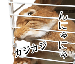 Pi-chan and Muu-chan's daily life 2 sticker #15157287