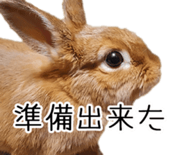 Pi-chan and Muu-chan's daily life 2 sticker #15157289