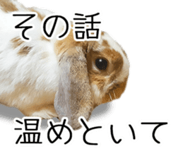 Pi-chan and Muu-chan's daily life 2 sticker #15157291