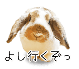 Pi-chan and Muu-chan's daily life 2 sticker #15157292