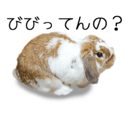 Pi-chan and Muu-chan's daily life 2 sticker #15157293