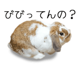 Pi-chan and Muu-chan's daily life 2 sticker #15157293