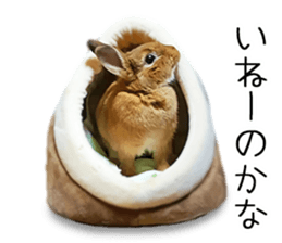 Pi-chan and Muu-chan's daily life 2 sticker #15157296