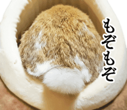 Pi-chan and Muu-chan's daily life 2 sticker #15157299