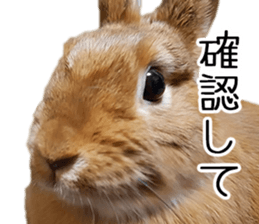 Pi-chan and Muu-chan's daily life 2 sticker #15157301