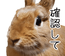 Pi-chan and Muu-chan's daily life 2 sticker #15157301