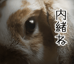 Pi-chan and Muu-chan's daily life 2 sticker #15157302