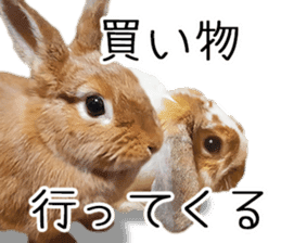 Pi-chan and Muu-chan's daily life 2 sticker #15157303