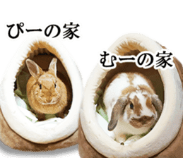 Pi-chan and Muu-chan's daily life 2 sticker #15157306