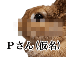 Pi-chan and Muu-chan's daily life 2 sticker #15157307