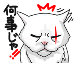 The boss cat. sticker #15157334