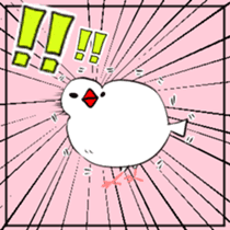 Java sparrow and gangs sticker #15498612
