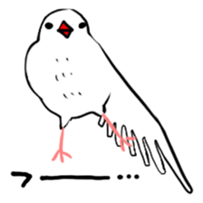 Java sparrow and gangs sticker #15498613