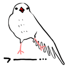 Java sparrow and gangs sticker #15498613